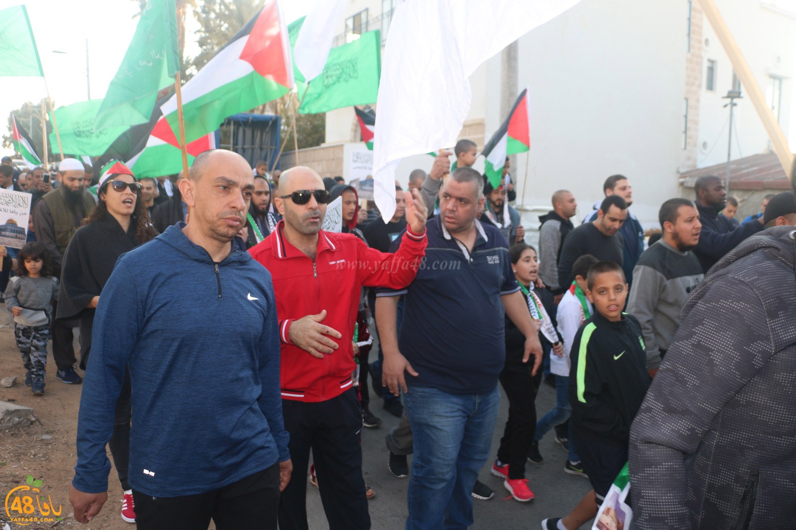 yaffa modahara jeq (24).jpg